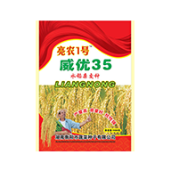 水稻種子